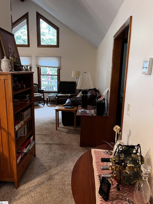 106 Stonegate Ct, Simpsonville, SC 29681 - living area with lofted ceiling, carpet, a textured ceiling, plenty of natural light, and a desk