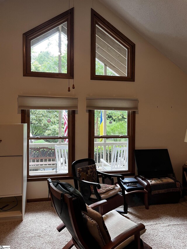 106 Stonegate Ct, Simpsonville, SC 29681 - carpeted living area with healthy amount of natural light and lofted ceiling