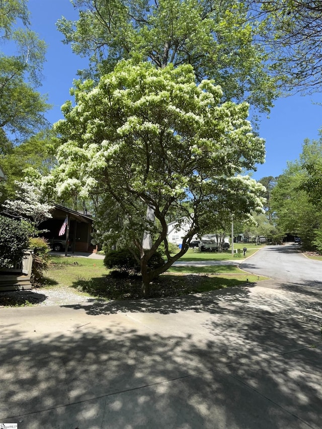 106 Stonegate Ct, Simpsonville, SC 29681 - view of side of property