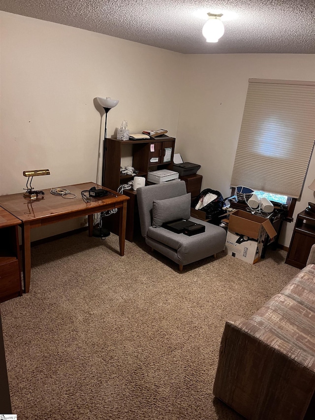 106 Stonegate Ct, Simpsonville, SC 29681 - office with carpet floors and a textured ceiling