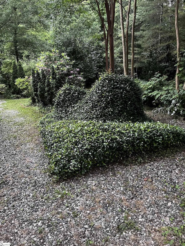 106 Stonegate Ct, Simpsonville, SC 29681 - view of wooded area