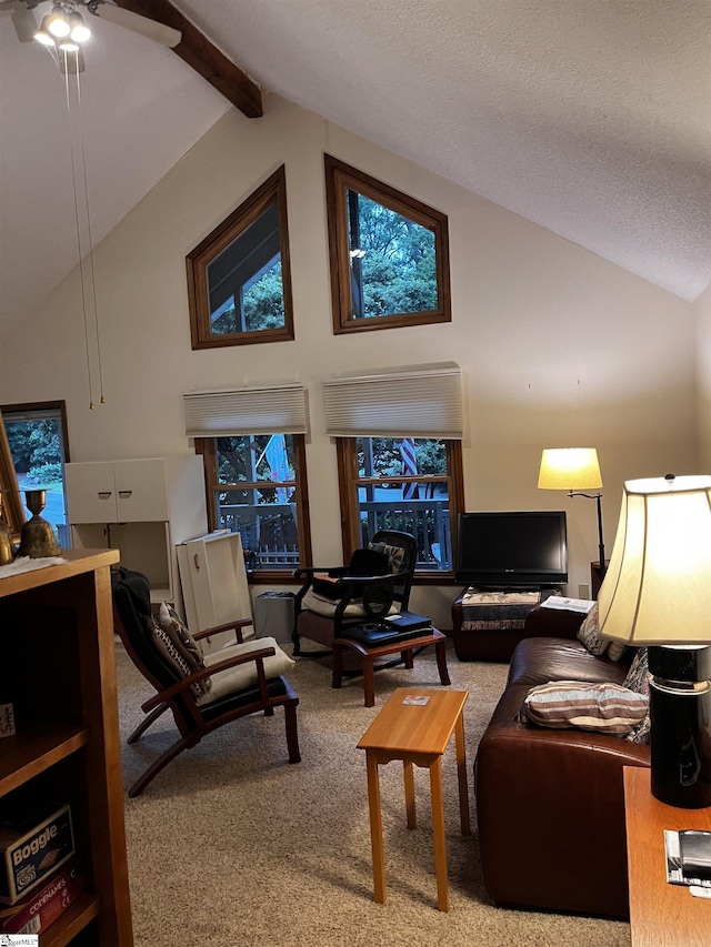 106 Stonegate Ct, Simpsonville, SC 29681 - carpeted living area with ceiling fan