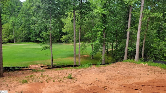 602 Cross Creek Dr, Seneca, SC 29678 - view of green lawn