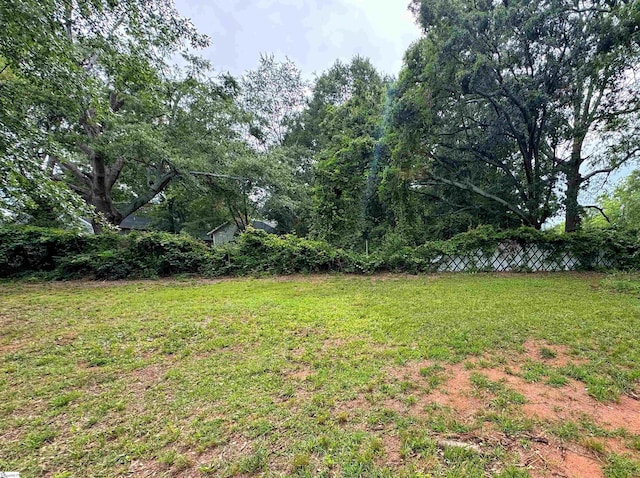 203 Arlington Rd, Greer, SC 29651 - view of yard