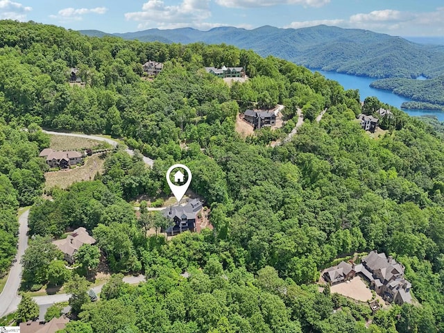 1110 Mountain Summit Rd, Travelers Rest, SC 29690 - bird's eye view of a heavily wooded area and a water and mountain view