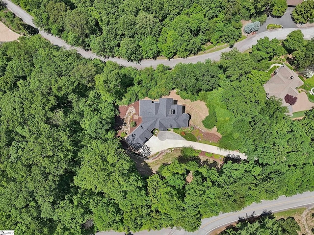 1110 Mountain Summit Rd, Travelers Rest, SC 29690 - view of property location