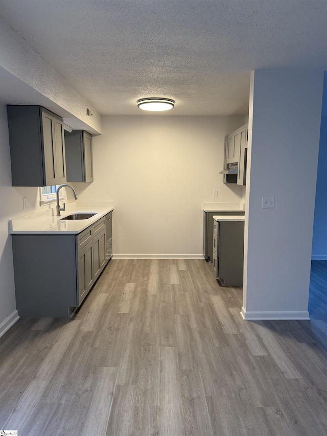 122 Franklin Dr, Central, SC 29630 - kitchen with a sink, wood finished floors, baseboards, gray cabinets, and a textured ceiling