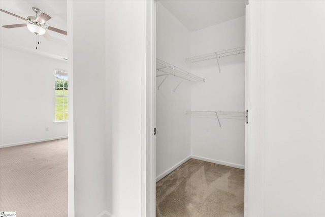 124 Bascom Ct, Greer, SC 29650 - spacious closet with carpet and ceiling fan
