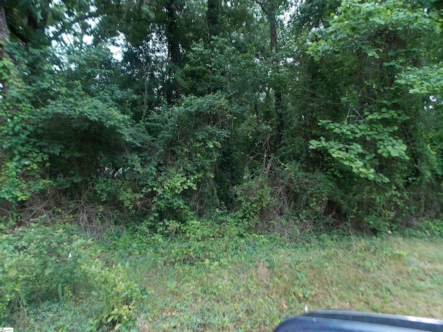 311AA Shirley Rd, Piedmont, SC 29673