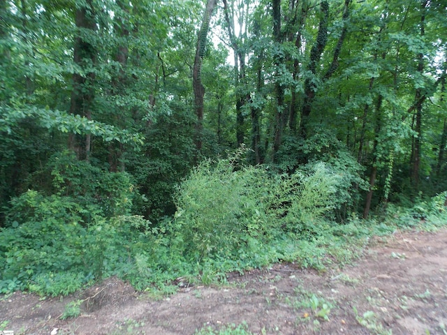311AA Shirley Rd, Piedmont, SC 29673