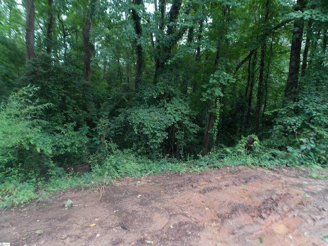 311AA Shirley Rd, Piedmont, SC 29673