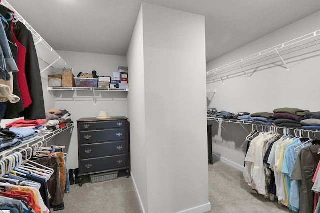 113 Marshfield Trl, Simpsonville, SC 29680 - walk in closet with carpet
