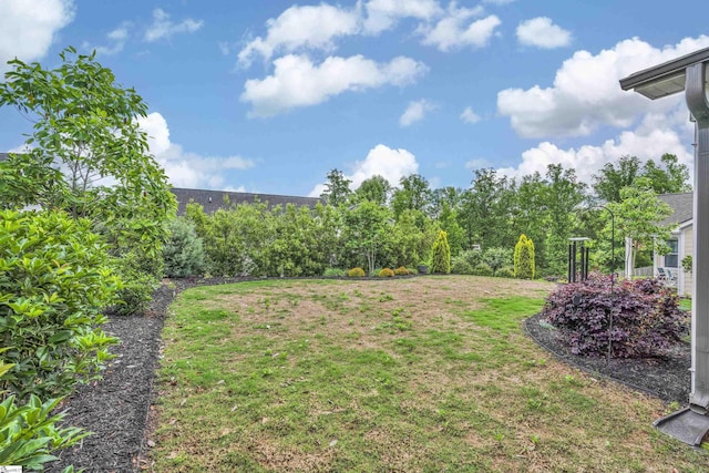 113 Marshfield Trl, Simpsonville, SC 29680 - view of green lawn