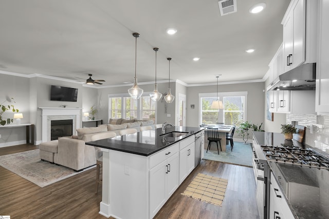 113 Marshfield Trl, Simpsonville, SC 29680 - kitchen with under cabinet range hood, stainless steel appliances, a ceiling fan, dark wood finished floors, and crown molding