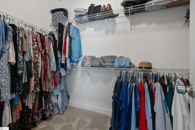 116 Woodstone Dr, Easley, SC 29642 - walk in closet featuring carpet flooring