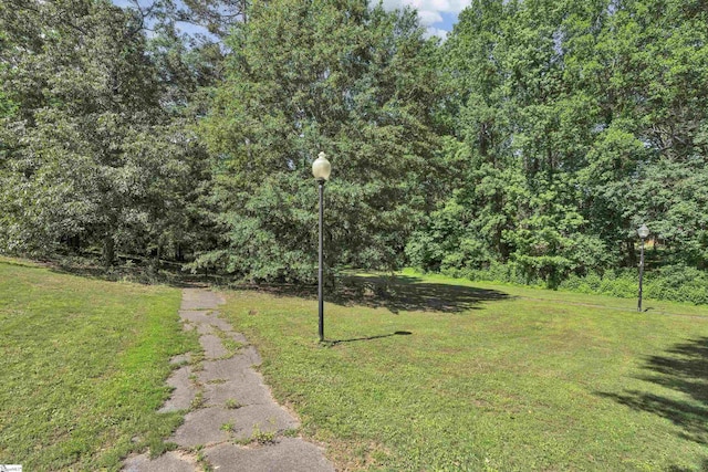 470 Canewood Pl, Mauldin, SC 29662 - view of grassy yard