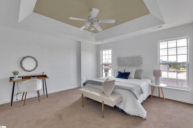 470 Canewood Pl, Mauldin, SC 29662 - bedroom with a tray ceiling, carpet floors, and baseboards