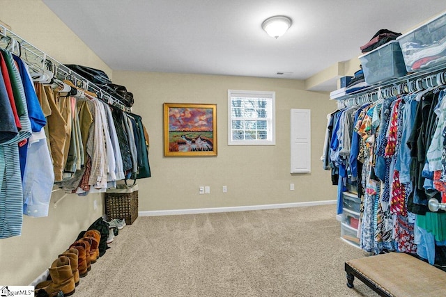 500 E Mountain Creek Rd, Taylors, SC 29687 - spacious closet featuring carpet floors
