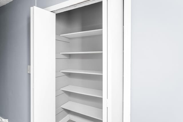 127 Chelsea St, Moore, SC 29369 - view of closet