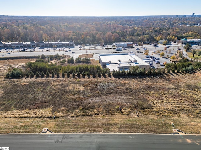 217 Trevi Dr Lot 463, Greenville, SC 29609 - drone / aerial view