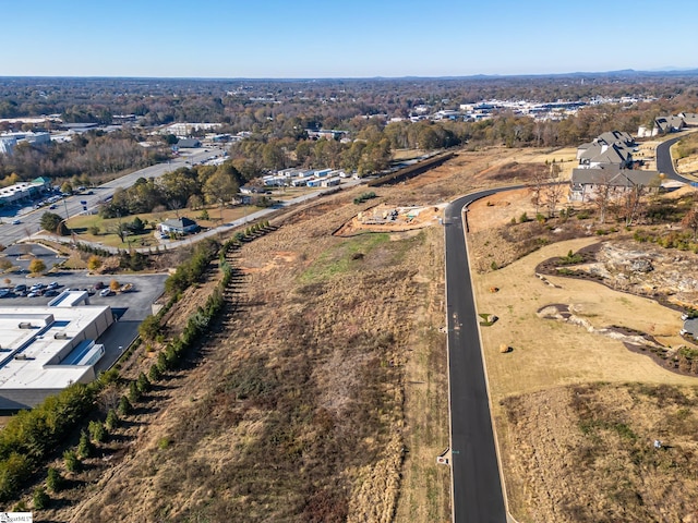 217 Trevi Dr Lot 463, Greenville, SC 29609 - aerial view