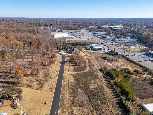 217 Trevi Dr Lot 463, Greenville, SC 29609 - drone / aerial view