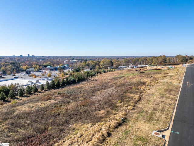 217 Trevi Dr Lot 463, Greenville, SC 29609 - aerial view