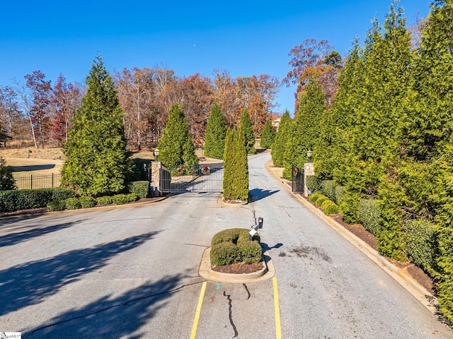 217 Trevi Dr Lot 463, Greenville, SC 29609 - view of asphalt street with curbs, a gate, and a gated entry