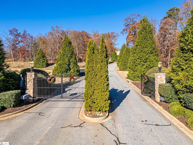 217 Trevi Dr Lot 463, Greenville, SC 29609 - view of asphalt road featuring a gate, street lighting, curbs, and a gated entry