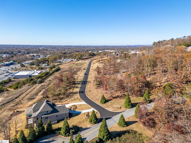 217 Trevi Dr Lot 463, Greenville, SC 29609 - aerial view of property's location