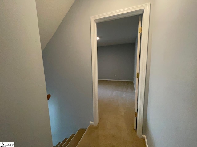 1002 Still Holllow Ln, Taylors, SC 29687 - hallway with carpet and baseboards