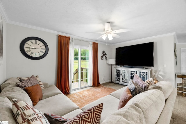 105 Penson Rd, Honea Path, SC 29654 - living room featuring ornamental molding, a ceiling fan, carpet floors, and baseboards