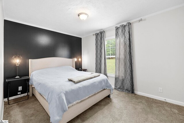 105 Penson Rd, Honea Path, SC 29654 - carpeted bedroom featuring crown molding, baseboards, and a textured ceiling