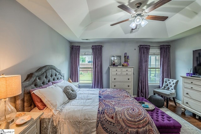 653 Chartwell Dr, Greer, SC 29650 - bedroom with multiple windows, a tray ceiling, and wood finished floors