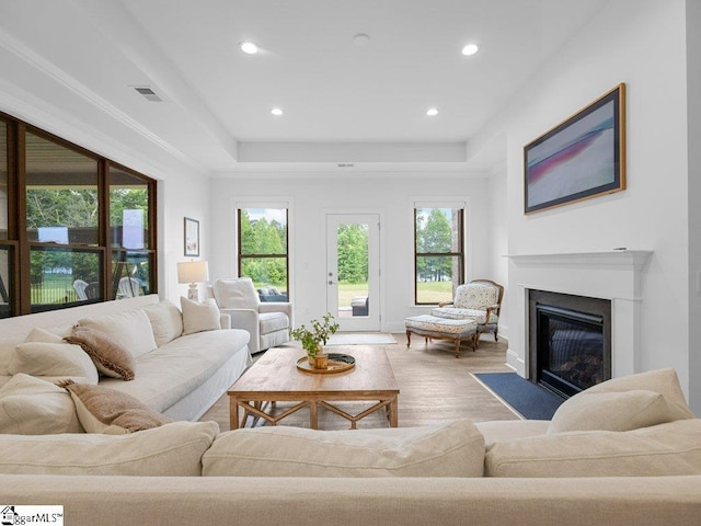 115 Harbor Master Ln, Taylors, SC 29687 - living area with a tray ceiling, wood finished floors, a fireplace with flush hearth, and recessed lighting
