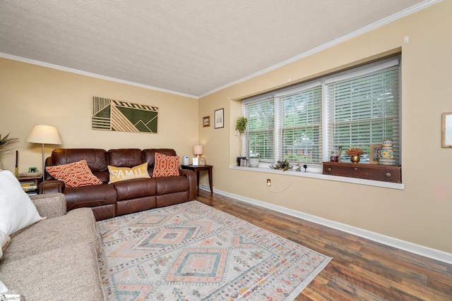 208 S Severn Cir, Easley, SC 29642 - living area featuring wood finished floors, ornamental molding, baseboards, and a textured ceiling