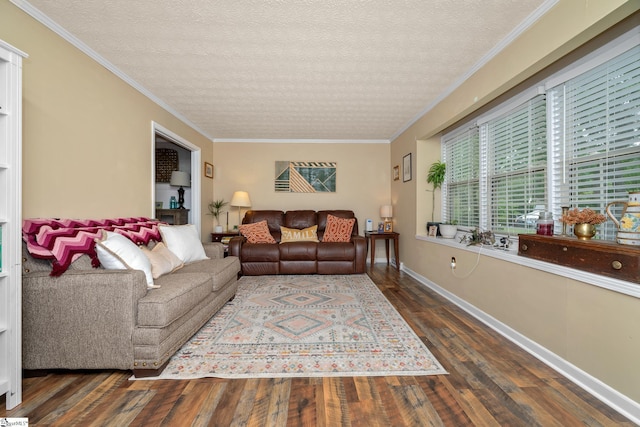 208 S Severn Cir, Easley, SC 29642 - living area featuring hardwood / wood-style floors, a textured ceiling, crown molding, and baseboards