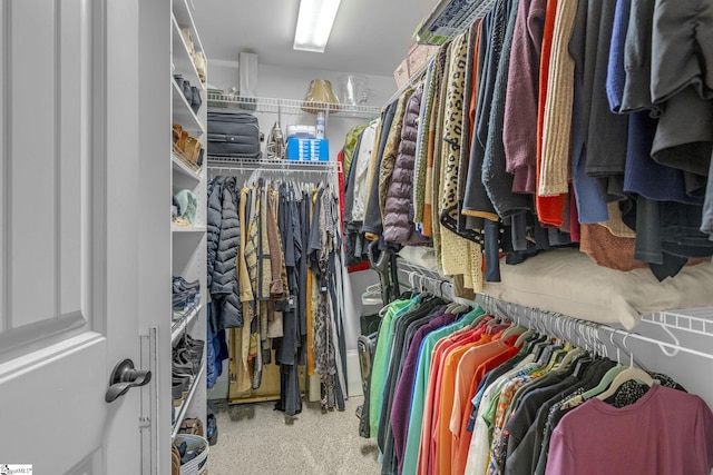 121 Lowe Rd, Piedmont, SC 29673 - view of spacious closet