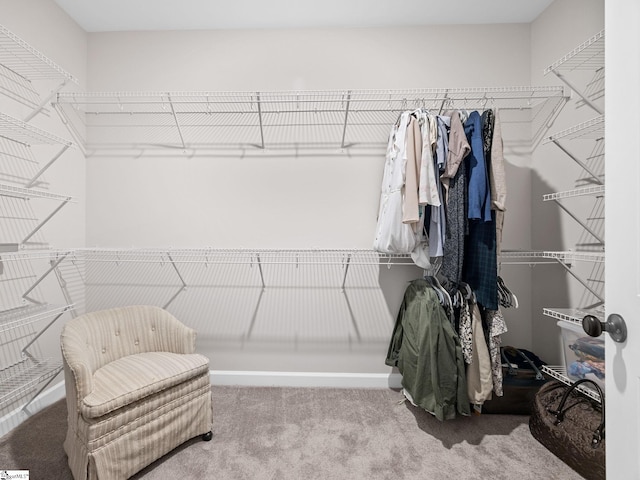4427 Storehouse Run, Boiling Springs, SC 29316 - spacious closet featuring carpet flooring