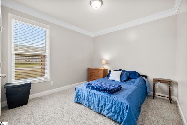 305 Kellen Ct, Duncan, SC 29334 - carpeted bedroom with ornamental molding and baseboards