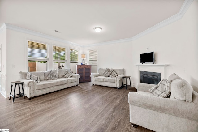 305 Kellen Ct, Duncan, SC 29334 - living area with a glass covered fireplace, ornamental molding, wood finished floors, and baseboards