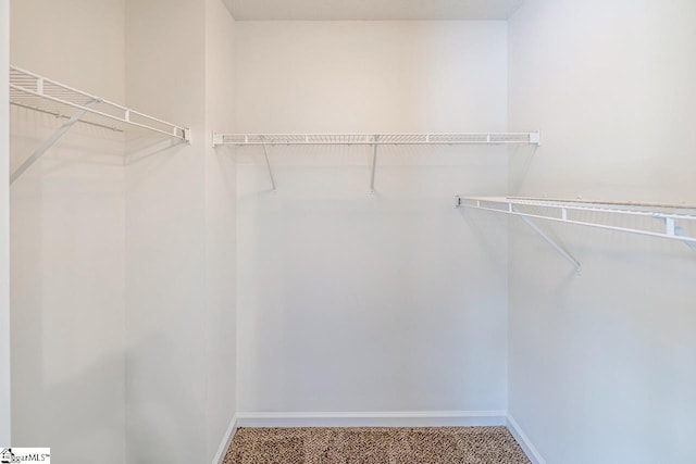 19 Hartwell Dr, Simpsonville, SC 29681 - spacious closet featuring carpet floors