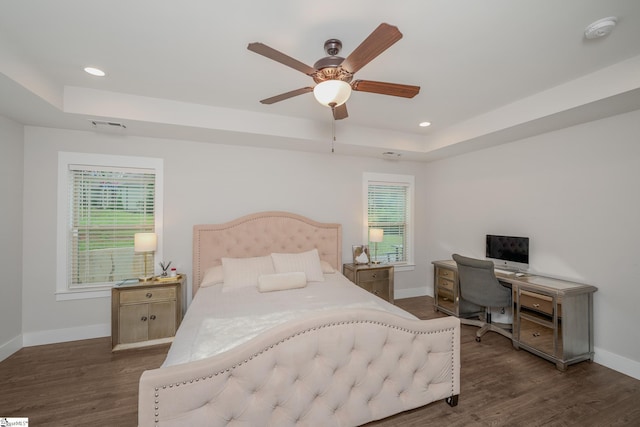 881 Cothran Rd, Inman, SC 29349 - bedroom with a tray ceiling, baseboards, dark wood finished floors, multiple windows, and recessed lighting