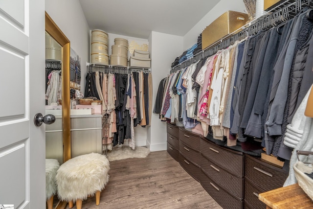 881 Cothran Rd, Inman, SC 29349 - walk in closet with wood finished floors