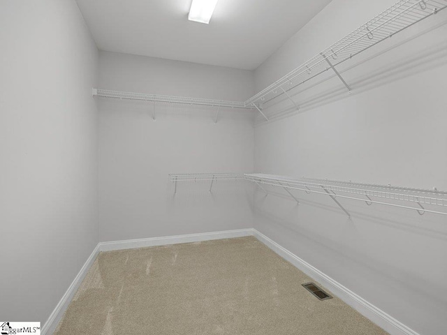 251 Saddlebrook Dr, Moore, SC 29369 - spacious closet featuring light colored carpet