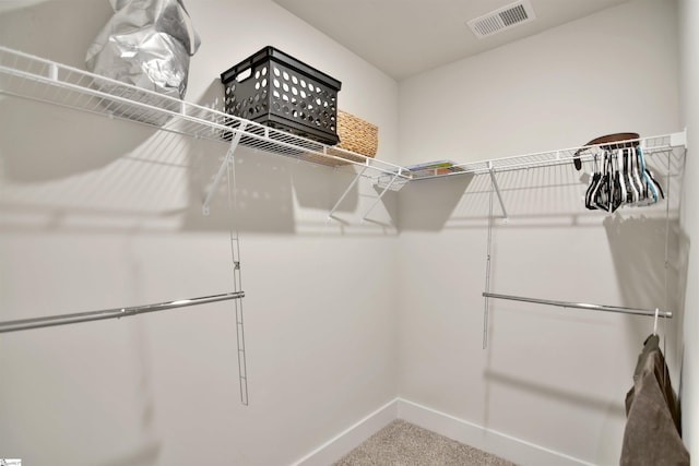105 Boren Way, Greenville, SC 29607 - walk in closet with carpet