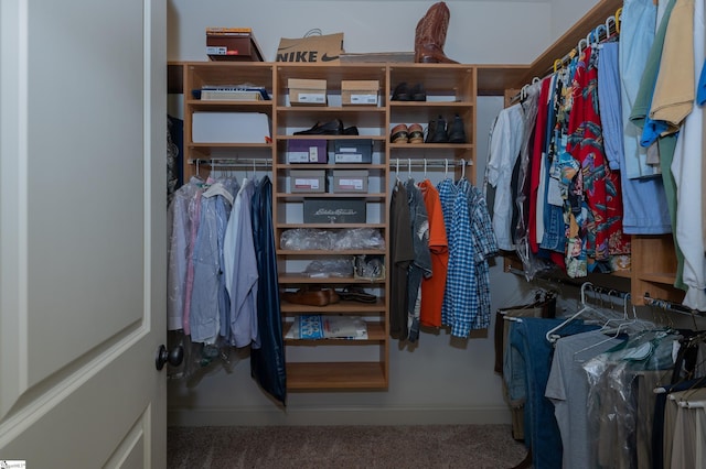 26 Bradstock Dr, Greer, SC 29650 - spacious closet featuring carpet
