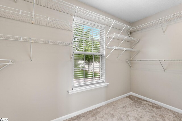 16 N Orchard Farms Ave, Simpsonville, SC 29681 - spacious closet with carpet