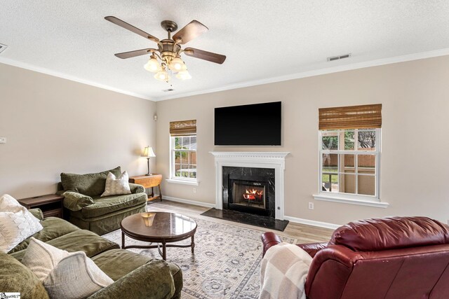16 N Orchard Farms Ave, Simpsonville, SC 29681 - living area with wood finished floors, ceiling fan, ornamental molding, a premium fireplace, and baseboards