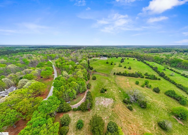 868 Old Hundred Rd, Pelzer, SC 29669 - aerial overview of property's location with a forest